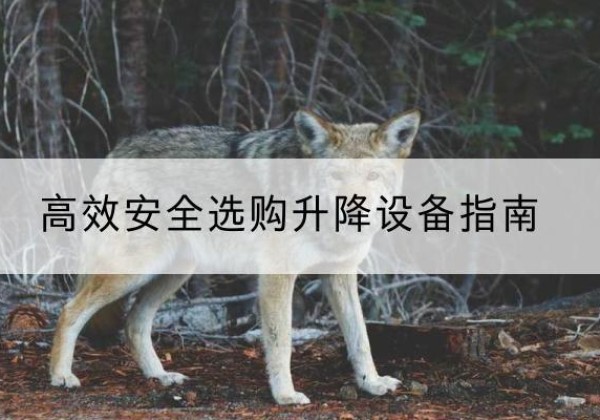 金秀升降货梯厂家推荐-*安全选购升降设备指南