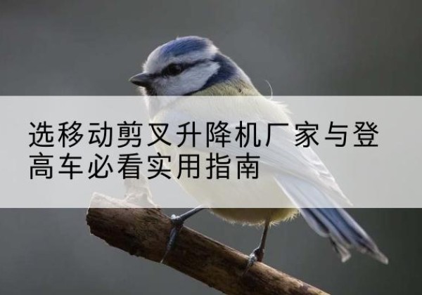 金秀电动升降机厂家-选移动剪叉升降机厂家与登高车必看实用指南